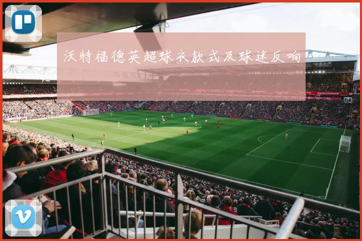 沃特福德英超球衣款式及球迷反响
