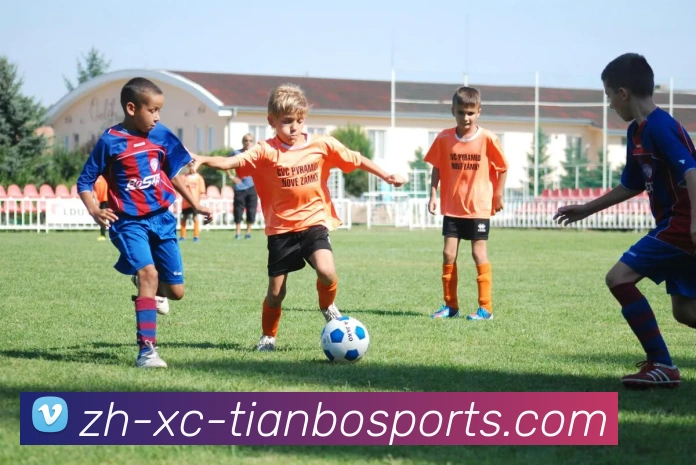 天博体育服务体系