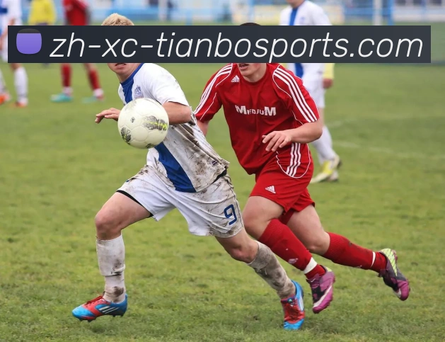 天博体育APP 体育赛事宣传图